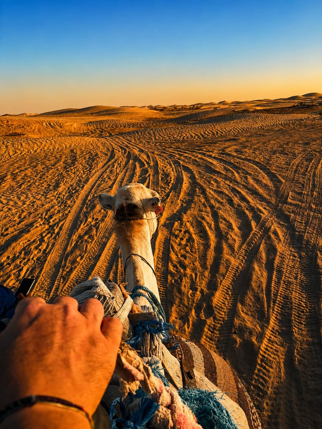 Trek de 3 jours dans le Grand Erg Oriental au départ de Djerba — 5