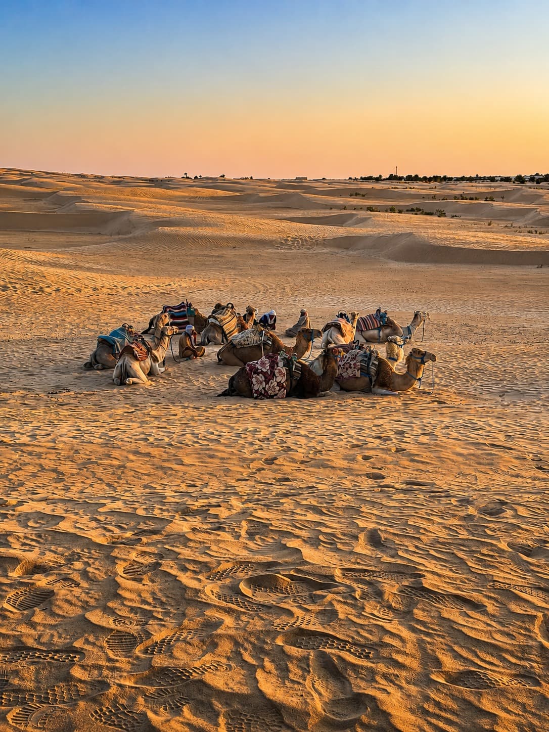 Au départ de Tozeur : 2 jours dans le Sahara avec campement et balade à dos de dromadaire au coucher du soleil — 3