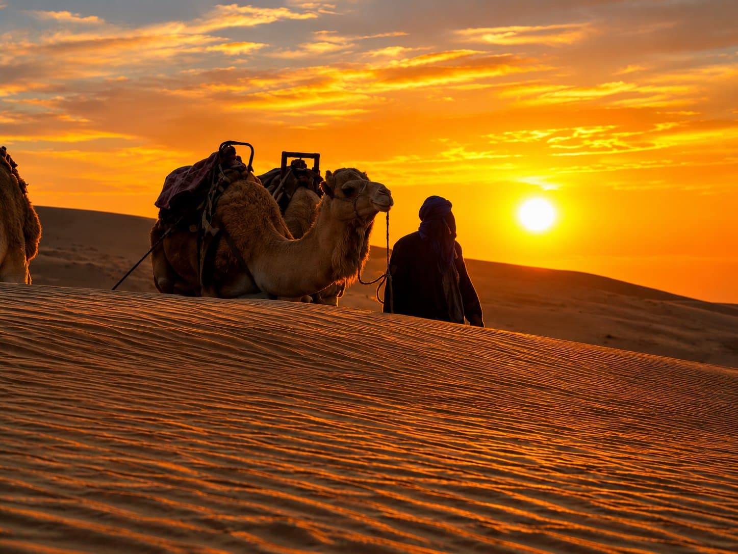 Tunisie : Circuit de 3 jours dans le Sahara avec campement et bivouac — 4
