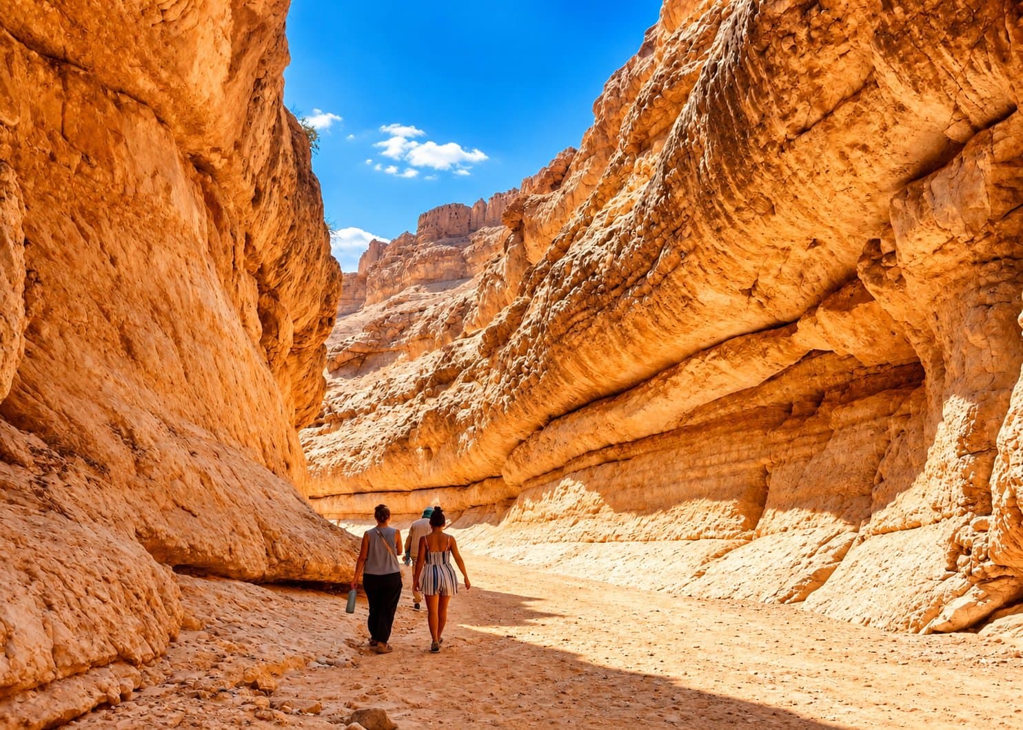 Au départ de Tozeur : 2 jours dans le Sahara avec campement et balade à dos de dromadaire au coucher du soleil — 5
