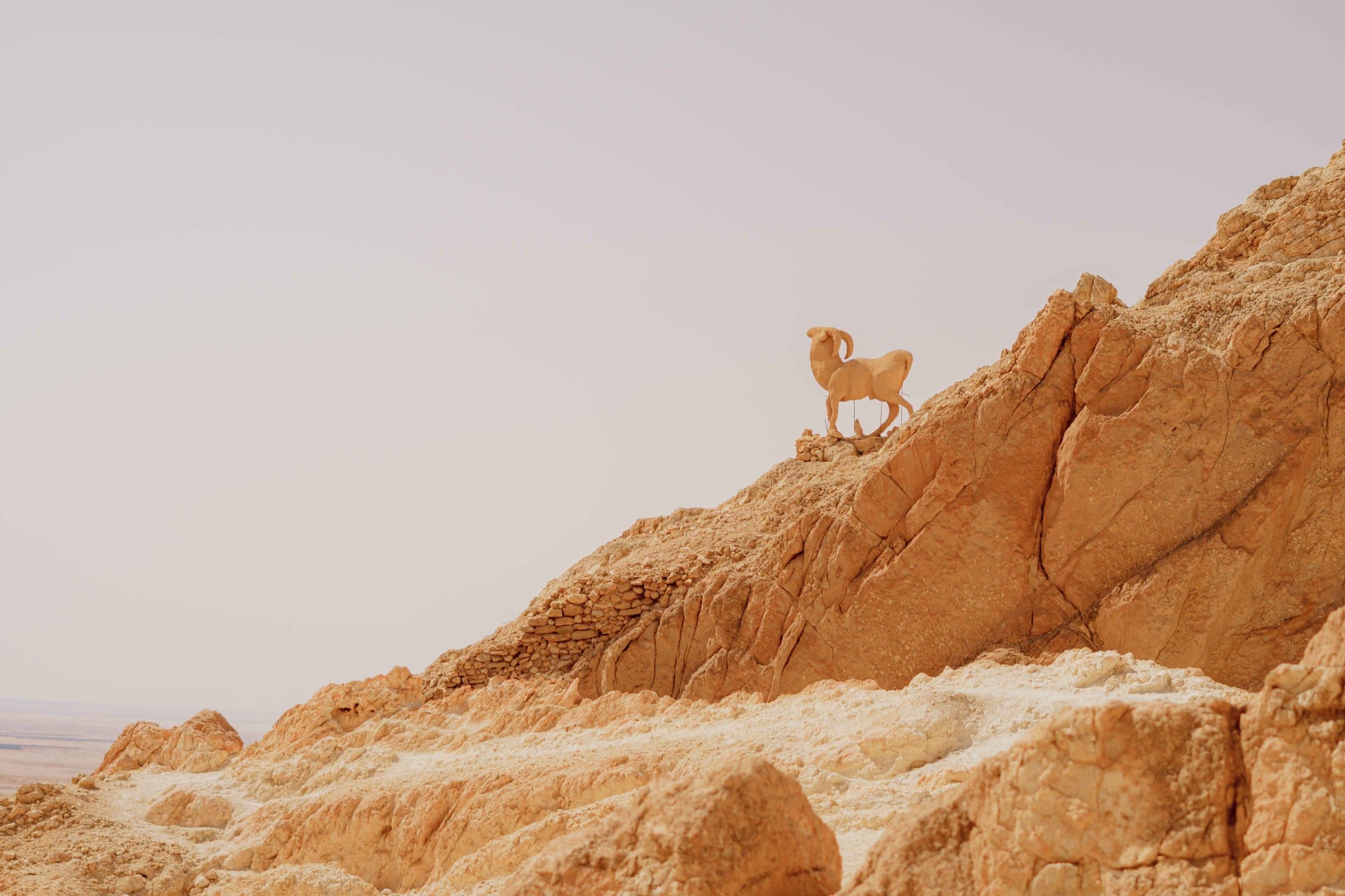 From Tunis: 3-Day Sahara Desert and Berber Villages Tour — 8