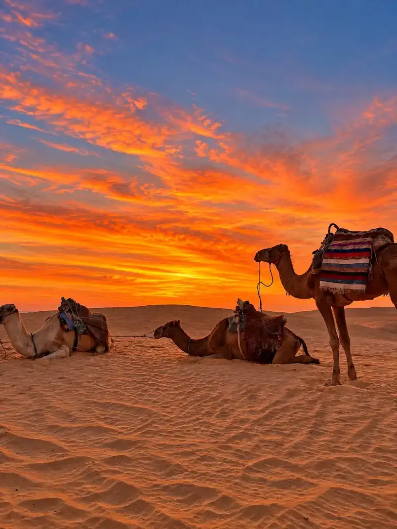 Douz: 3-tägiges Sahara-Abenteuer mit Quadfahren und Biwak
