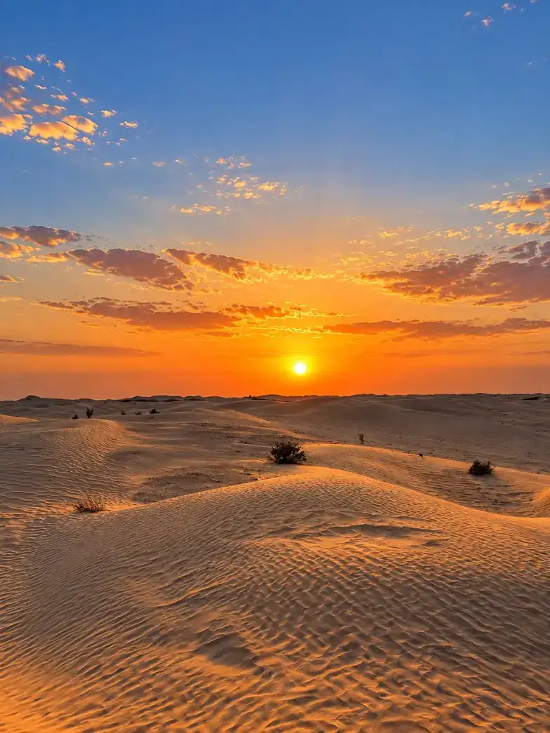 Live the dunes