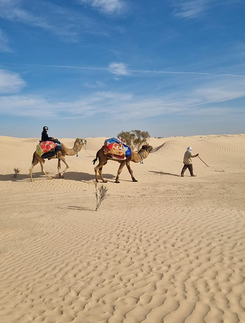 excursion sahara tunisien