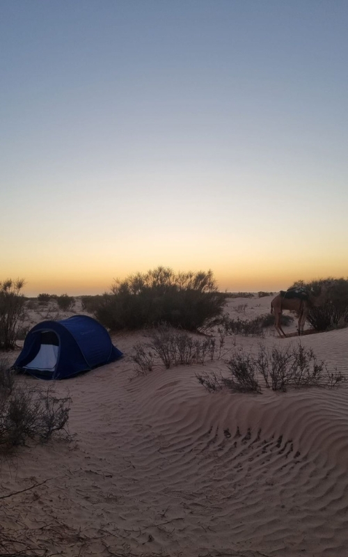 tunisia 4*4 camp bivouac