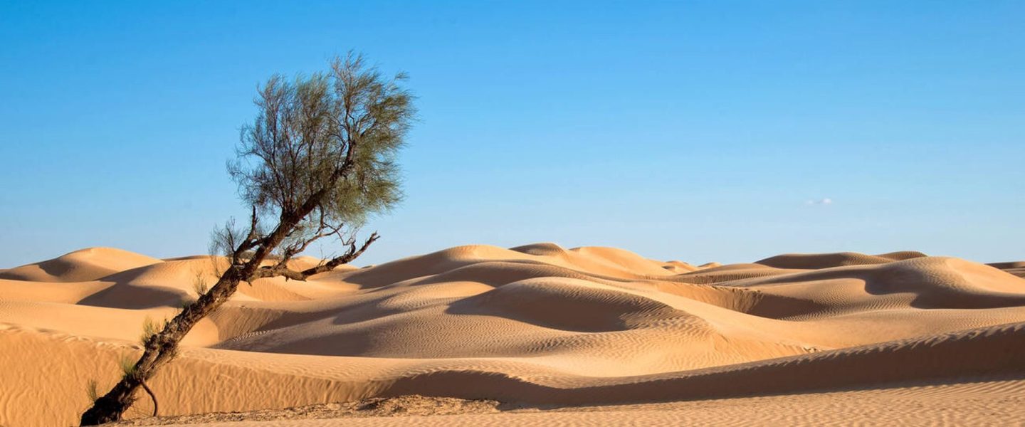 desert tunisie