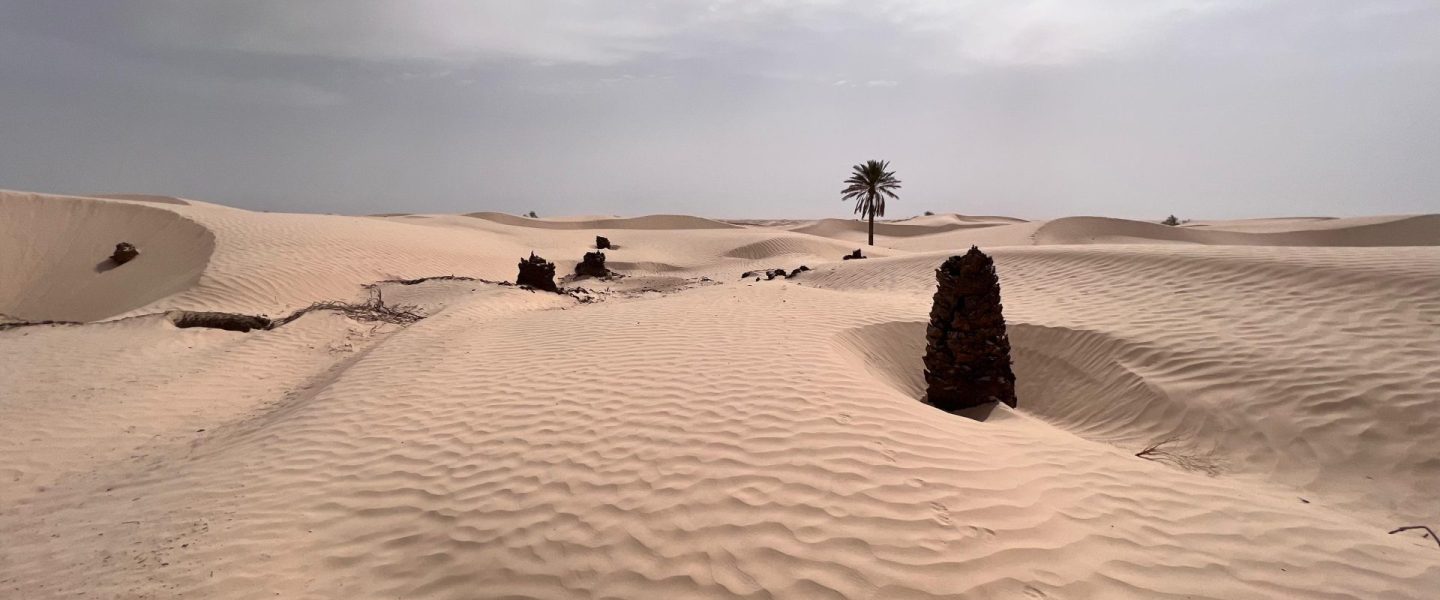 desert-tunisie-sahara